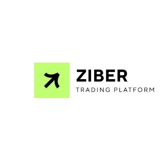 Ziber logo